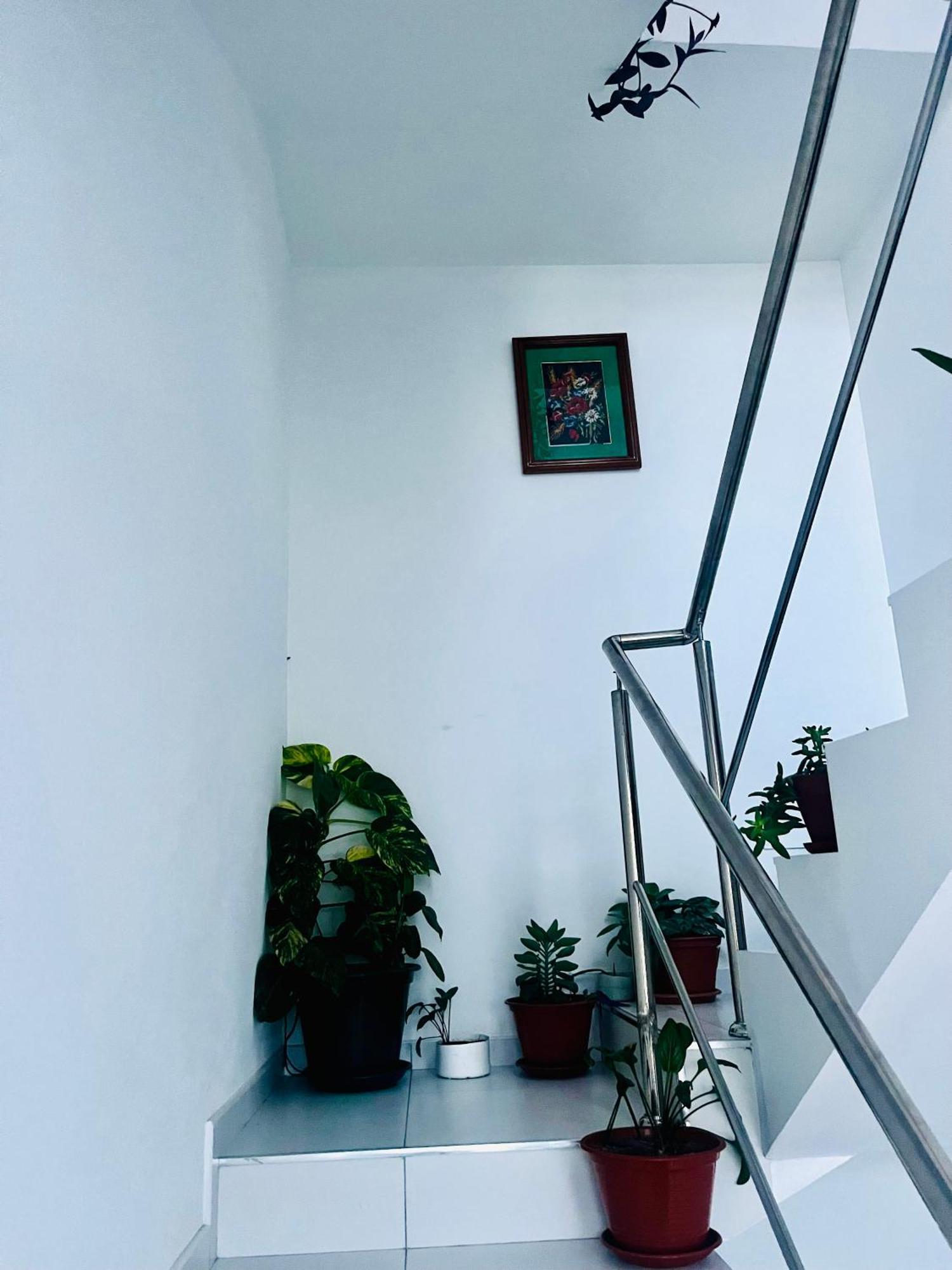 Oasis De Retour Apartment Ponta Do Sol Exterior photo