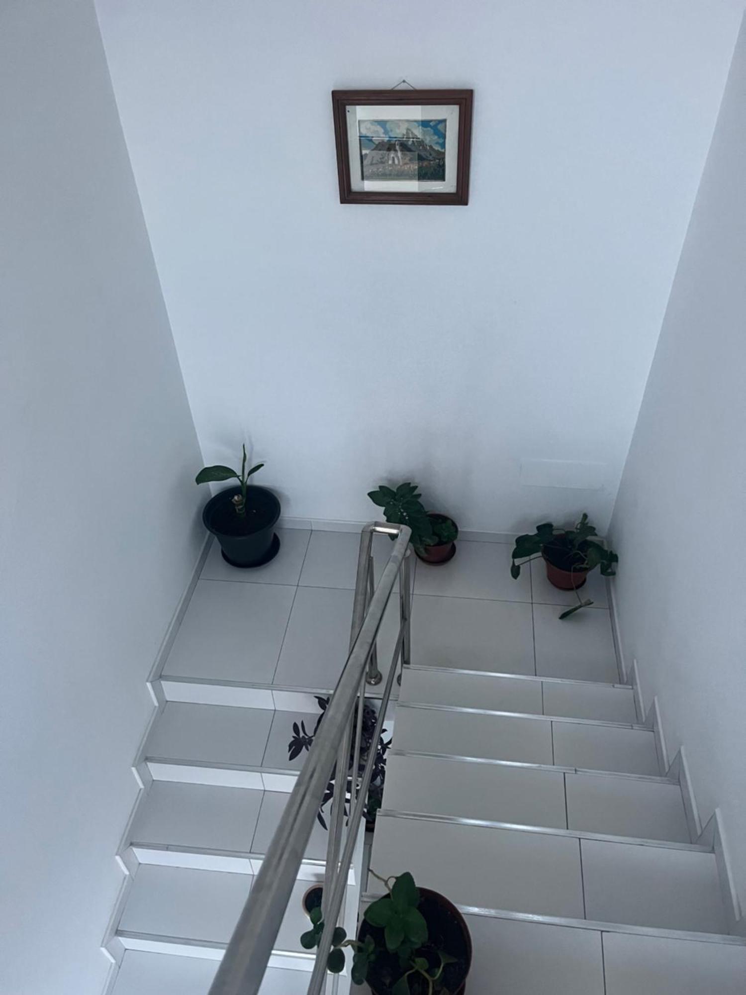 Oasis De Retour Apartment Ponta Do Sol Exterior photo